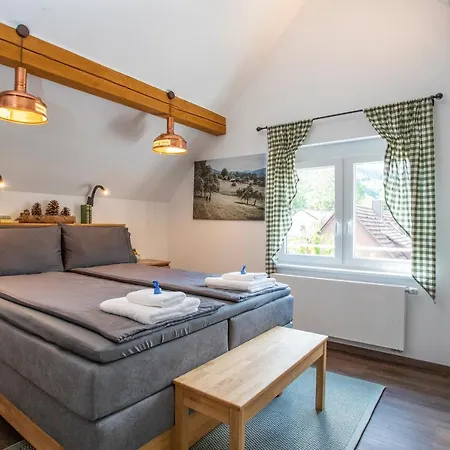 Pine Cone Loft On Baden-baden's Panorama Trail באדן-באדן