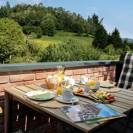 Pine Cone Loft On Baden-baden's Panorama Trail 公寓 *