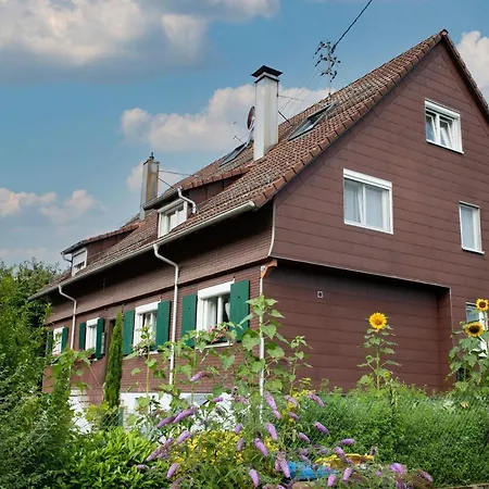 Pine Cone Loft On Baden-baden's Panorama Trail Baden-Baden