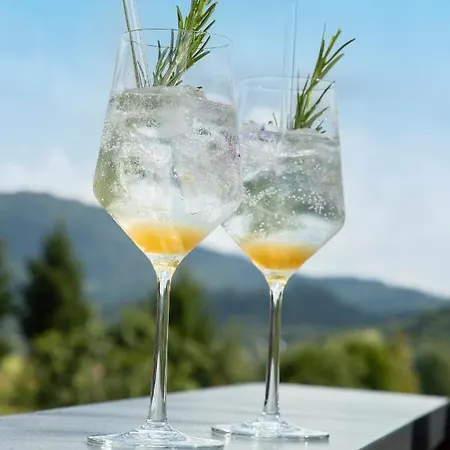 Pine Cone Loft On Baden-baden's Panorama Trail *