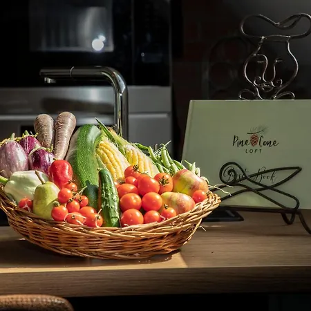 Pine Cone Loft On Baden-baden's Panorama Trail Appartamento Baden-Baden