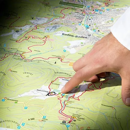 Pine Cone Loft On Baden-baden's Panorama Trail Appartamento