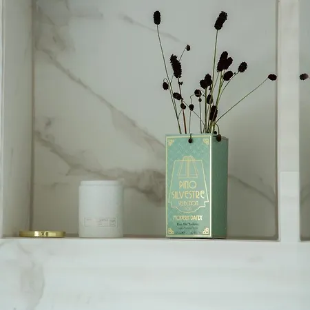 Pine Cone Loft On Baden-baden's Panorama Trail *