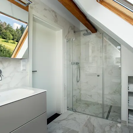 Pine Cone Loft On Baden-baden's Panorama Trail Apartment