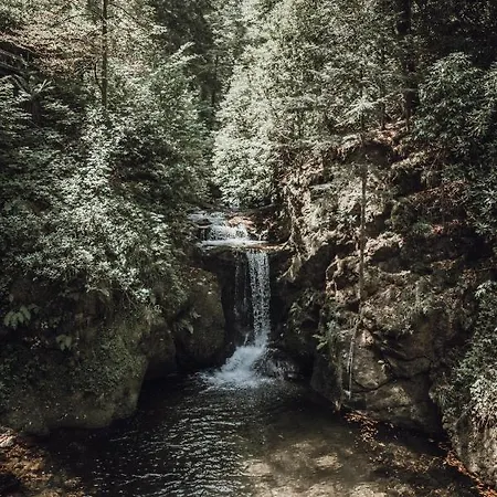 Pine Cone Loft On Baden-baden's Panorama Trail Appartamento Baden-Baden