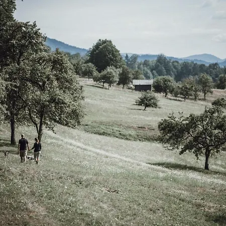 Appartamento Pine Cone Loft On Baden-baden's Panorama Trail Baden-Baden