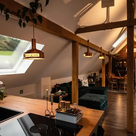 Pine Cone Loft On Baden-baden's Panorama Trail Baden-Baden