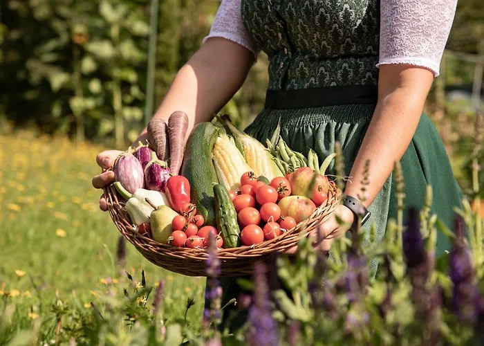 Pine Cone Loft On Baden-baden's Panorama Trail *