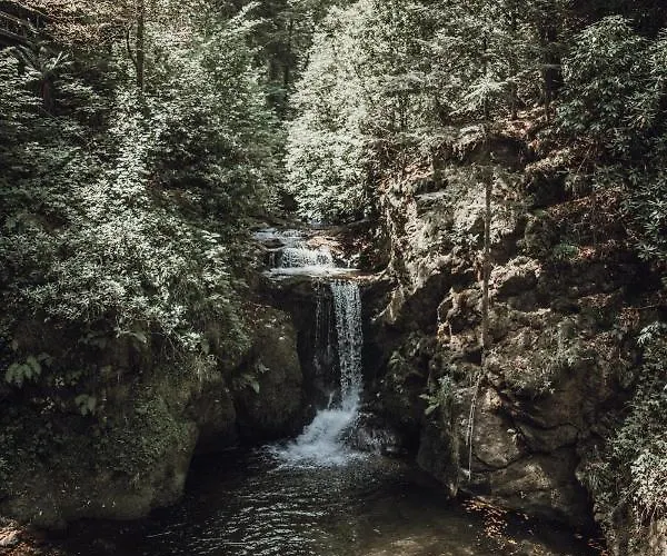 Pine Cone Loft On Baden-baden's Panorama Trail Apartament Baden-Baden