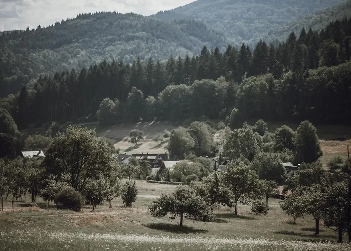Pine Cone Loft On Baden-baden's Panorama Trail *