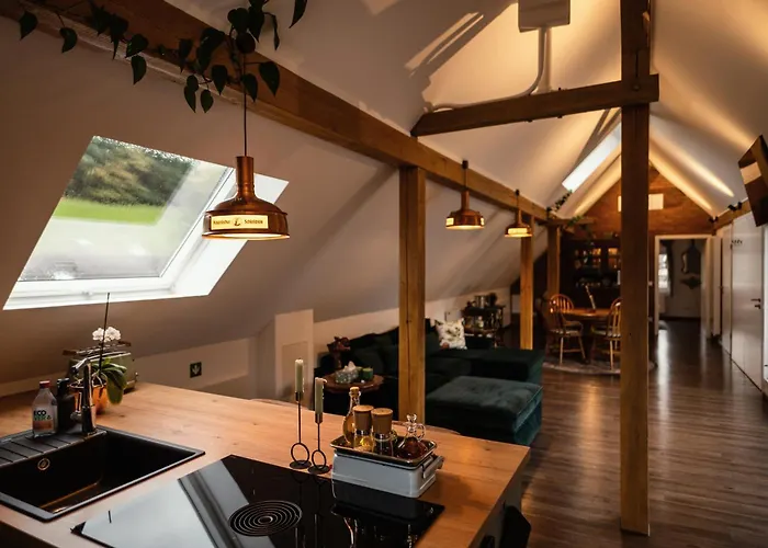 Pine Cone Loft On Baden-baden's Panorama Trail Baden-Baden